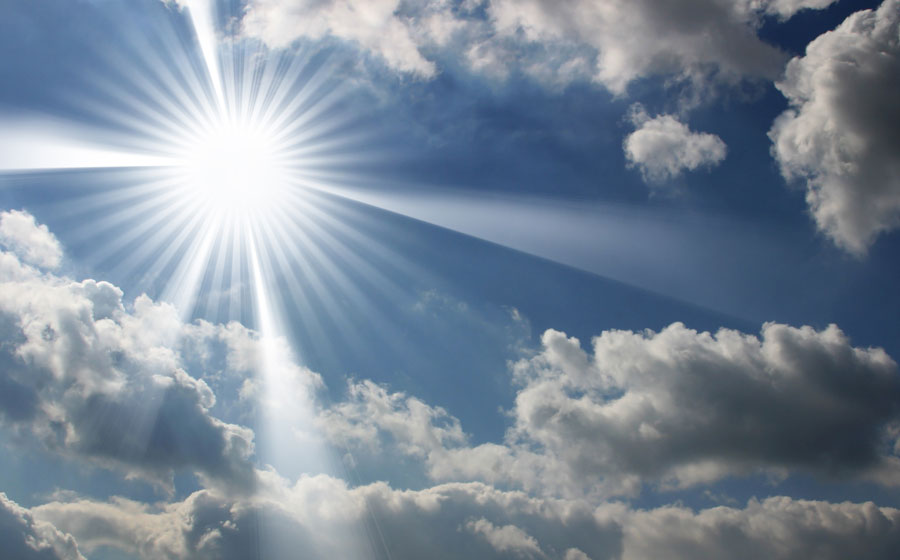 Kebutuhan Cahaya  Matahari  untuk Tanaman HIDROPONIK STORE