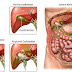 Gall Bladder Stone Removal Doctor Ahmedabad, sabarmati, motera, gandhinagar, chandkheda