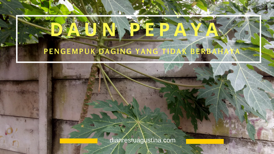 daun pepaya