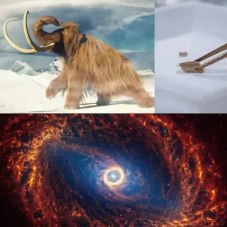 A study reveals the travels of a mammoth that lived 14 thousand years ago