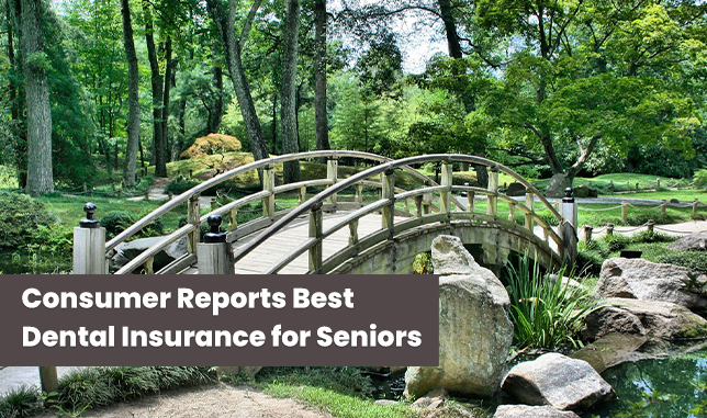 Consumer Reports Best Dental Insurance for Seniors