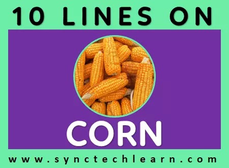 10 lines on corn in english for class 1