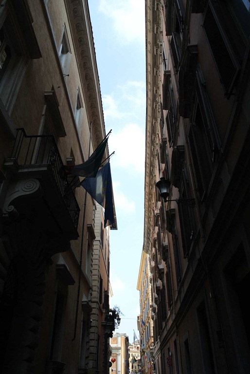 DSC_2538