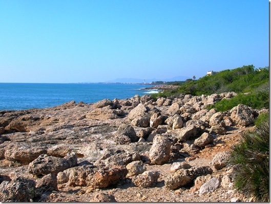 Irta Ebri-Argilaga-Parra-Ebri 026