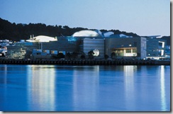 Te-Papa-Museum