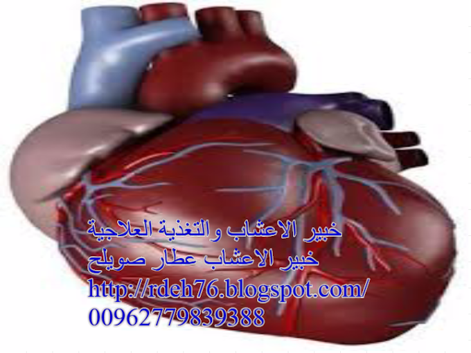 علاج القلب والضغط والكولسترول بالاعشاب - خبير الاعشاب والتغذية العلاجية بالاشاب الطبية 00962779839388