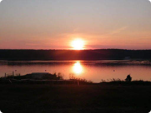 seliger_2011-07-11_00093