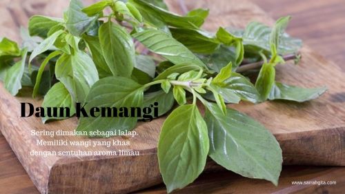 perbedaan daun basil dan kemangi