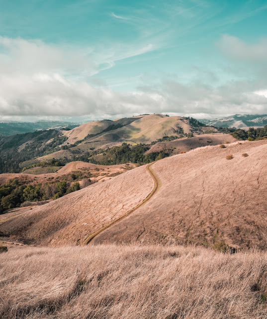 brown hills of California