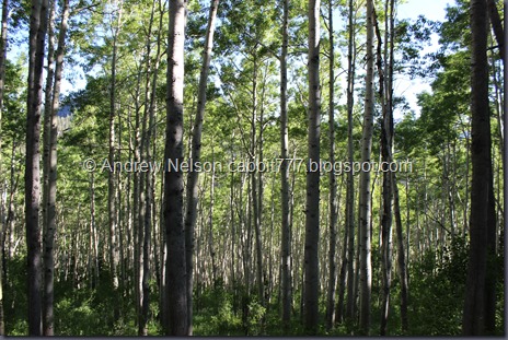 IMG_4654 IMG_4654