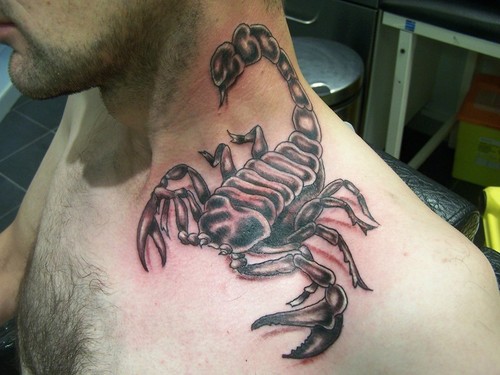 Scorpion Tattoos Sunday February 13 2011