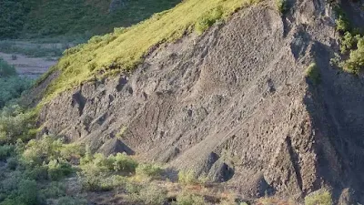 Giant Dinosaur Track Site Discovered in Alaska
