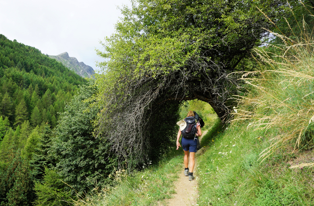Tree tunnel on trail to Poingt Ravier