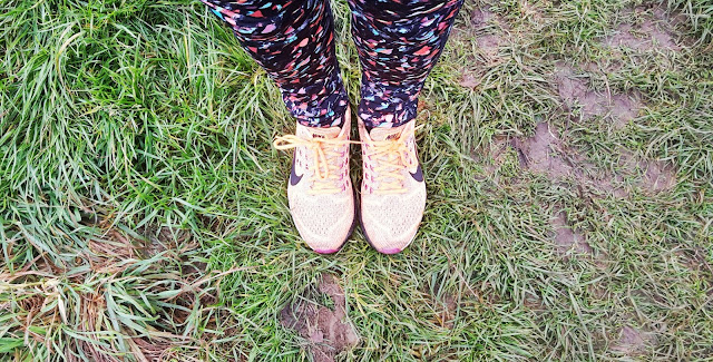 Project 366 2016 day 319 - Too warm for running tights // 76sunflowers