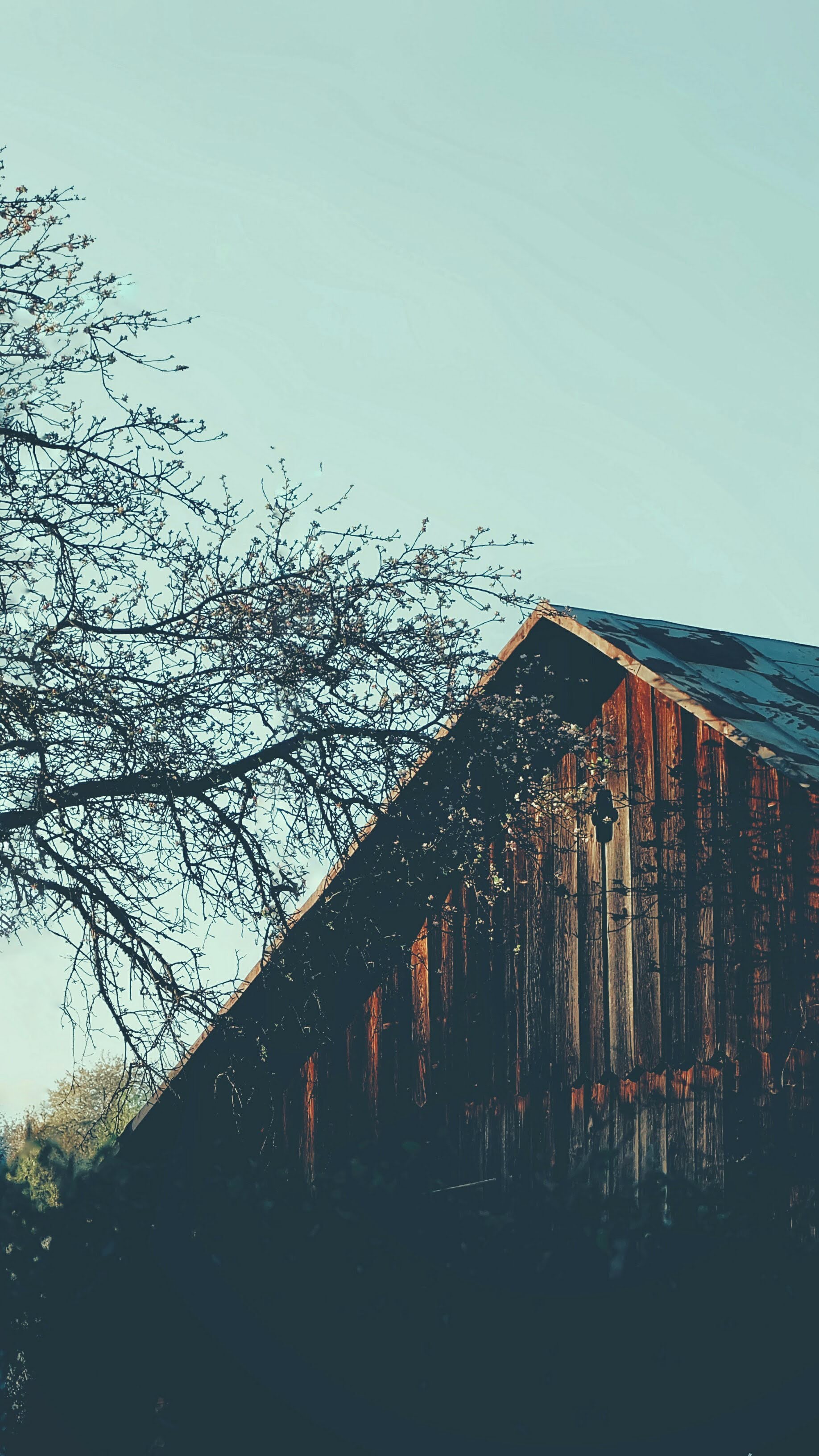 Brown Wooden House Near Bare Tree During Daytime | Photo by Oleksandra Bardash via Unsplash