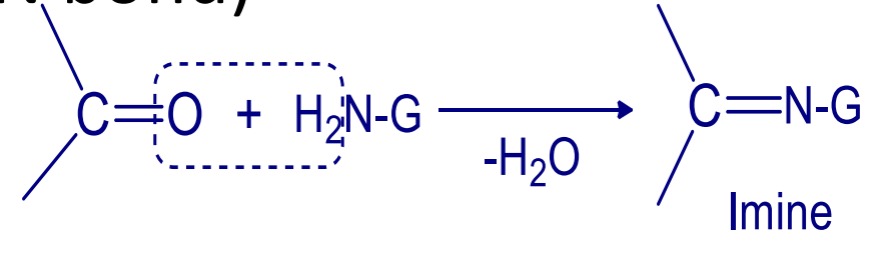 Aldehyde and ketone add to ammonia derivatives followed by removal of water molecule. (Formation of >C=N bond)