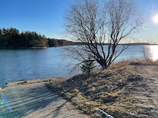 a dock on the ocean with a bare tree and blue sky