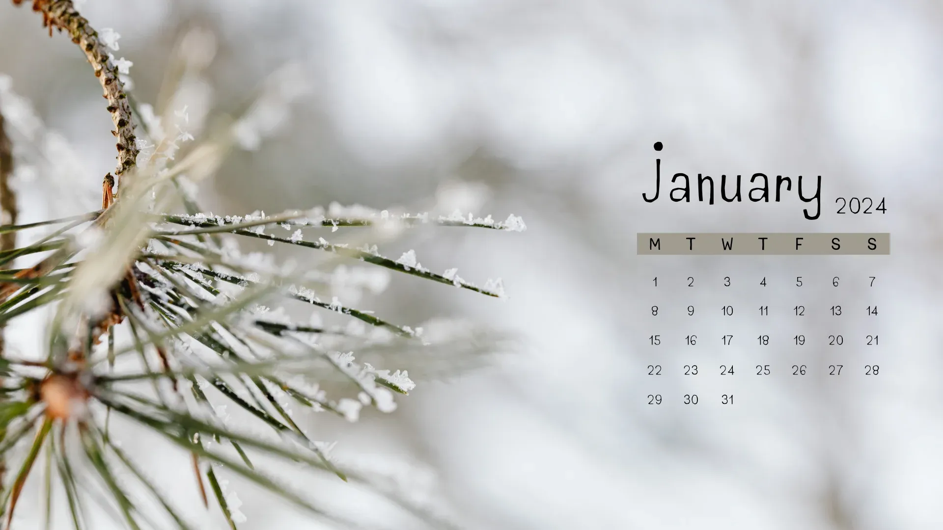 January 2024 Winter Theme Calendar Wallpaper