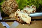 edible Mushrooms