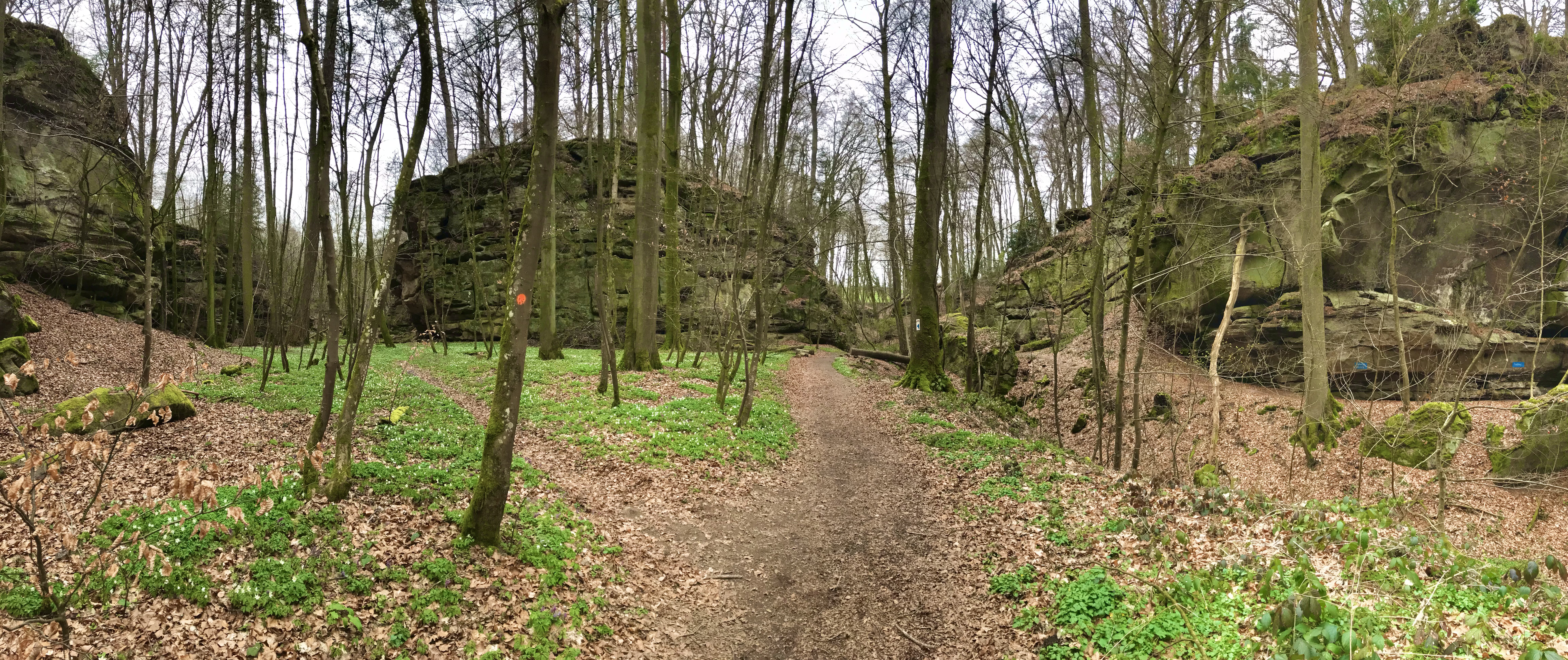 MULLERTHAL TRAIL, MULLERTHAL,  ECHTERNACH, LUXEMBURGO