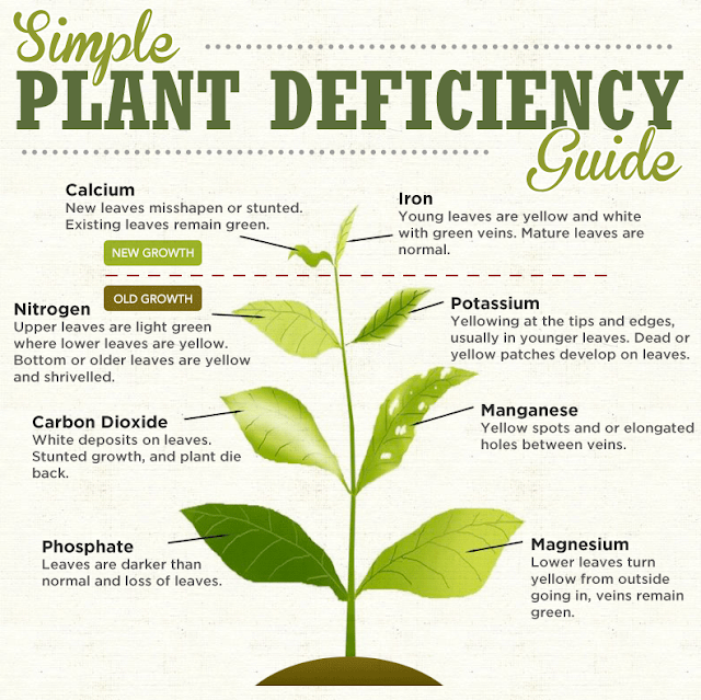 Essential nutrient function for plants and 8 other micro elements.