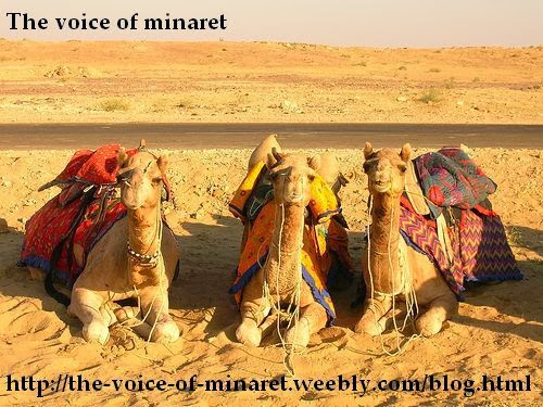 http://the-voice-of-minaret.weebly.com/blog.html