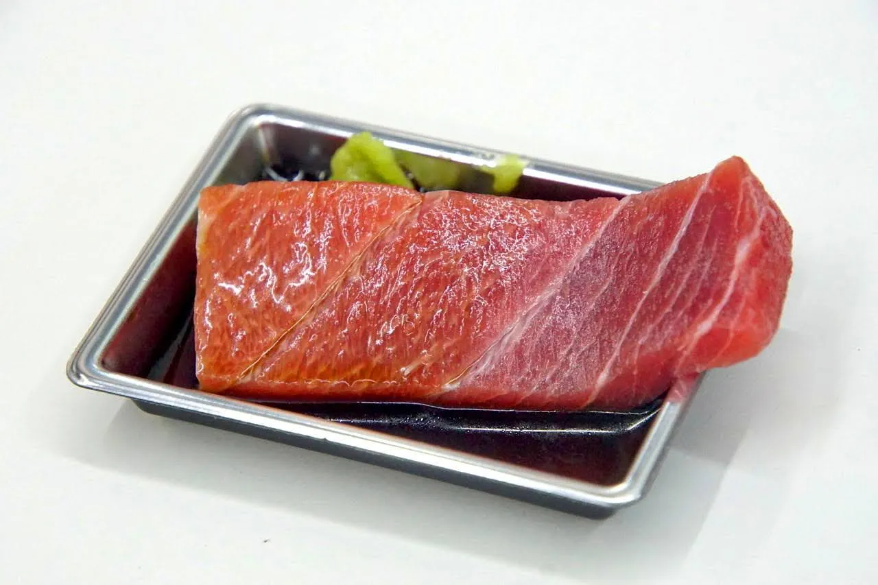 屏東｜海明星生魚片專賣店｜黑鮪魚上腹學問多，初學者筆記公開｜食記