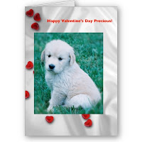 Fluffy White Puppy Valentine Cards