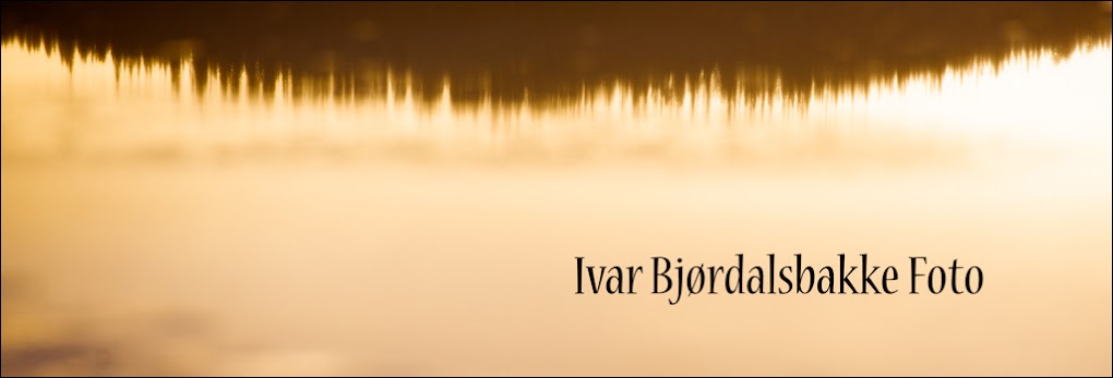 Ivar Bjørdalsbakke Foto