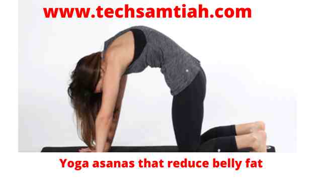 Yoga asanas that reduce belly fat