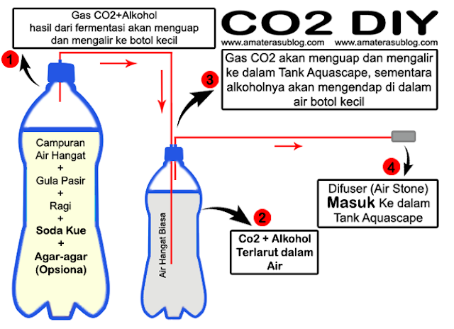 Cara Membuat Injeksi Co2 DIY untuk Aquascape