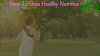 How To Gain Healthy Nutrition 