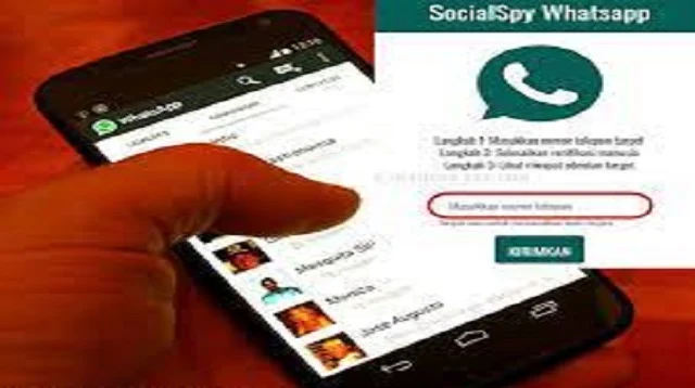 Social Spy Whatsapp