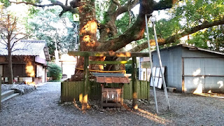 人文研究見聞録：箕曲中松原神社 ［三重県］