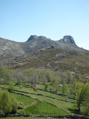 P1010809