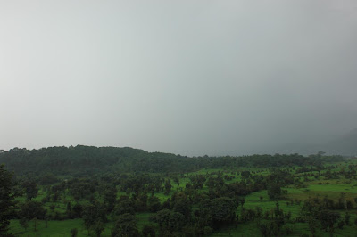 Greenery in Dharamshala