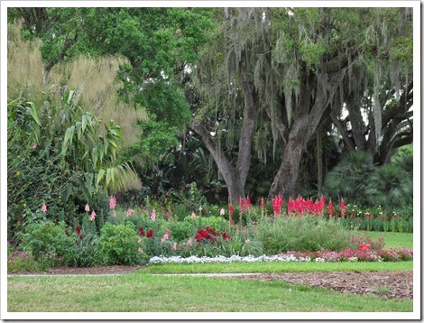 IMG_3120 IMG_3120