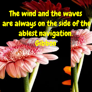 Quote on wind waves ablest