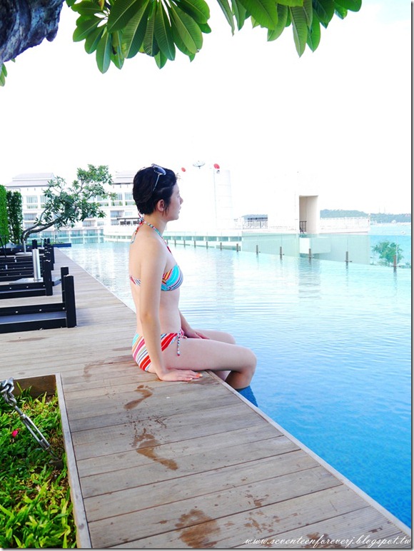PhotoCap_027