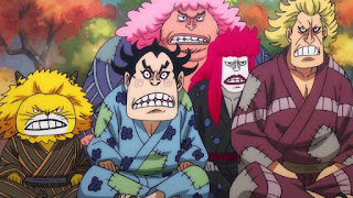 ワンピースアニメ | 赤鞘九人男 過去 | ONE PIECE Nine Red Scabbards | Hello Anime !