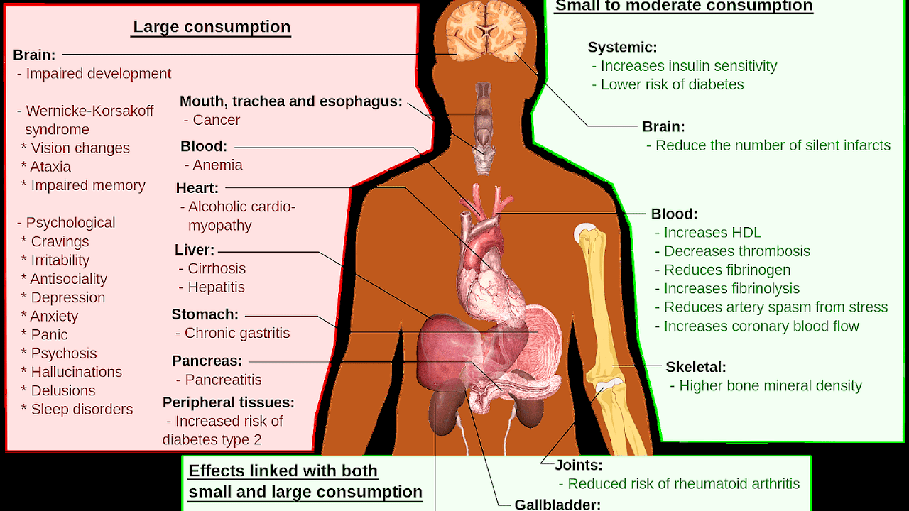 Long-term effects of alcohol consumption