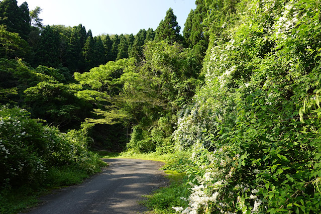 鳥取県西伯郡南部町東上 鎌倉山グリーンライン