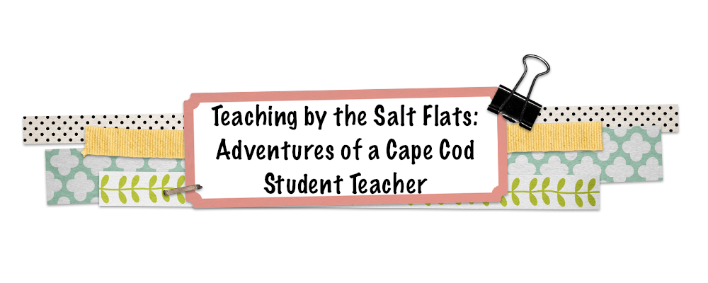 Teaching by the Salt Flats: Adventures of a Cape Cod Student Teacher