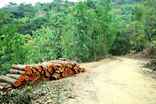 Mt. Balagbag, Rodriguez Rizal