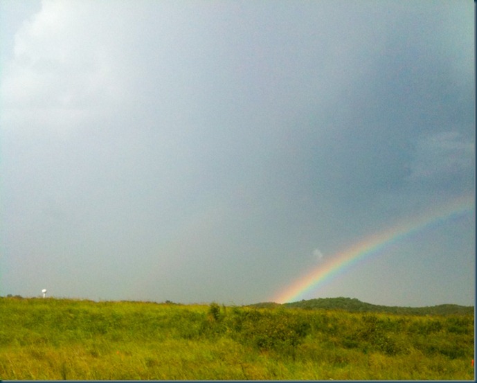 Rainbow (3 of 4)