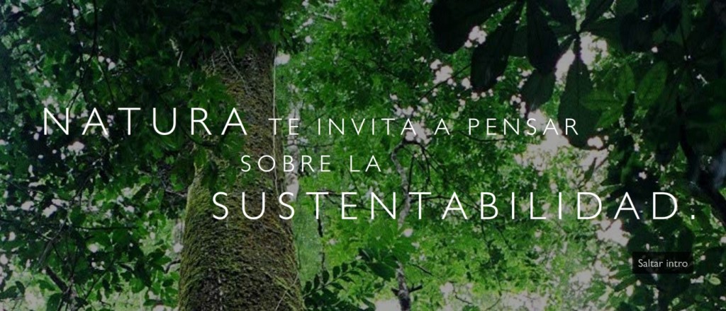 ↓SUSTENTABLE