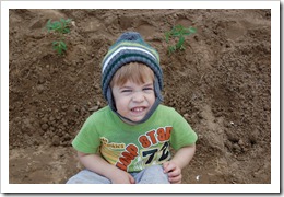 max and tomato plants