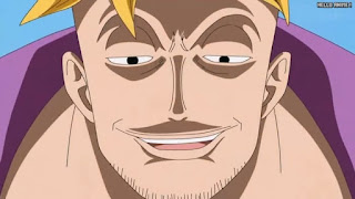 ワンピースアニメ 頂上戦争編 463話 不死鳥マルコ かっこいい Marco the Phoenix | ONE PIECE Episode 463