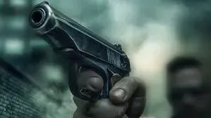 Rajasthan High Court's Stand on Second Arms License and the Right to Carry Arms