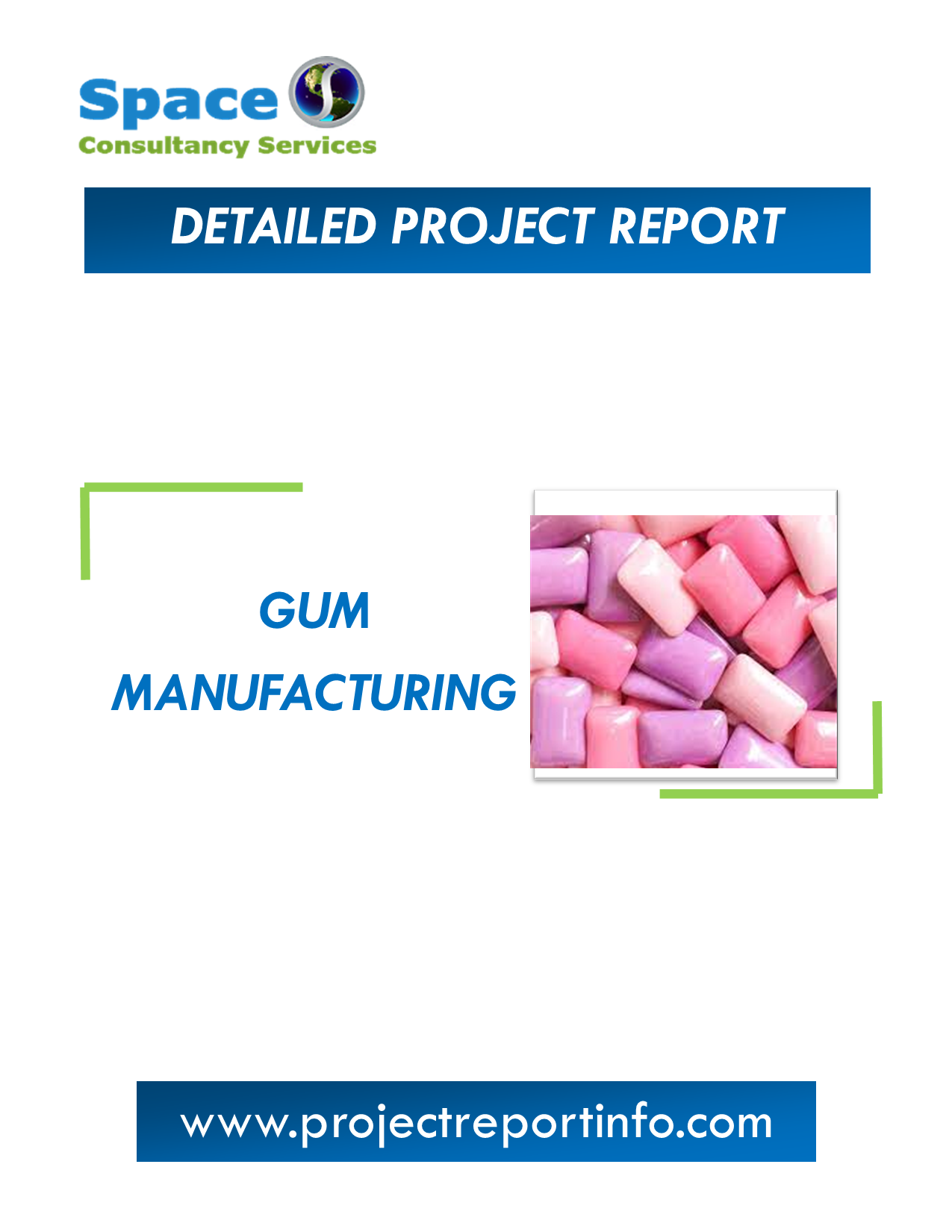 Project Report on Gum Manufacturing
